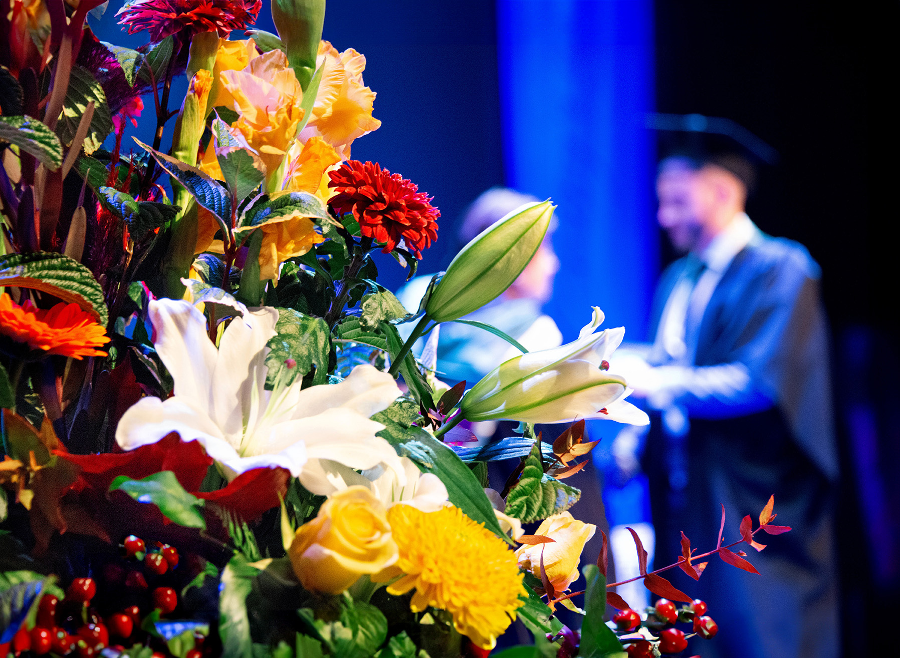 Male graduate receives certificate on stage with autumnal flowers in the foreground