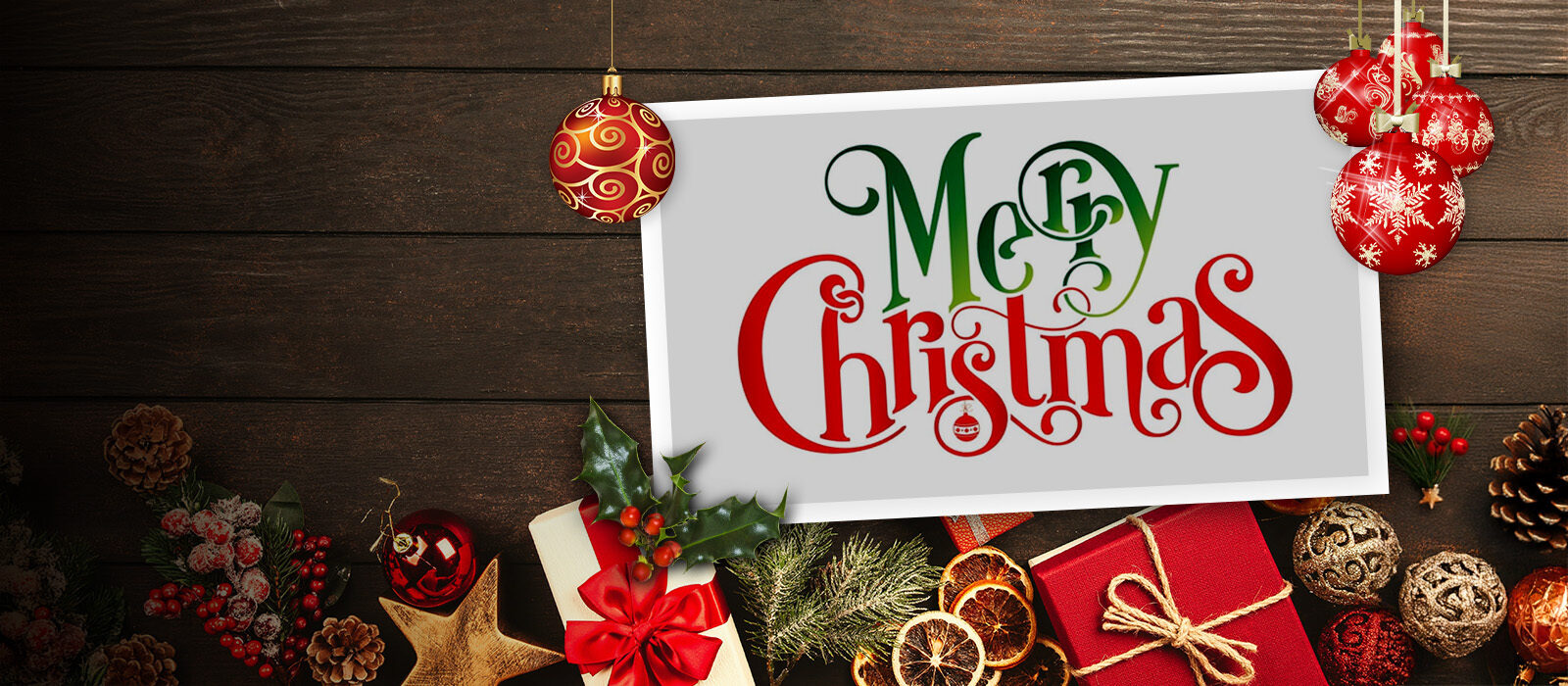 Christmas Homepage Banner 2024